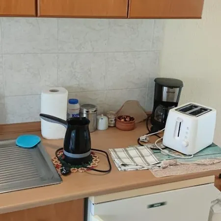 Rodica Apartament *